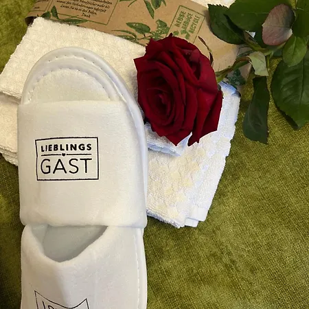 Pensión Stadt Mannheim